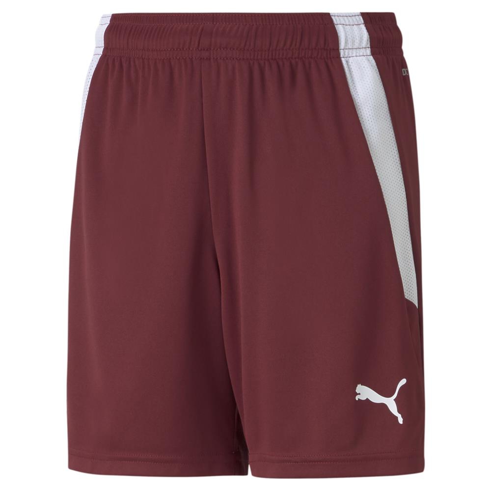 Puma Teamliga Shorts Jr