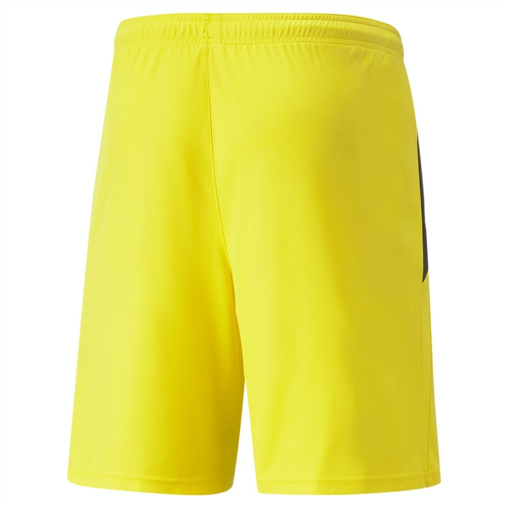 PUMA TeamLIGA Shorts 704924 07