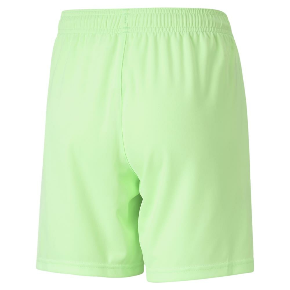 PUMA TeamLIGA Shorts Jr 704931 20