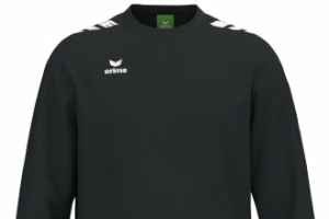 Sweatshirt CMPT 3 WINGS