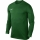 Youth-Jersey PARK VIII longsleeve pine green