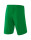 RIO 2.0 Shorts emerald 1