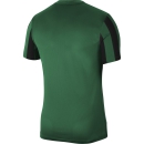 Youth-Jersey STRIPED DIVISON IV pine green/black