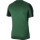 Youth-Jersey STRIPED DIVISON IV pine green/black