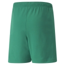 teamRISE Short Junior Pepper Green-Puma White