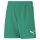 teamRISE Short Jr Pepper Green-Puma White