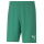 teamRISE Short Pepper Green-Puma White