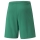 teamRISE Short Pepper Green-Puma White