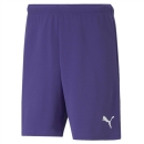 teamRISE Short Prism Violet-Puma White