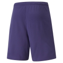 teamRISE Short Prism Violet-Puma White