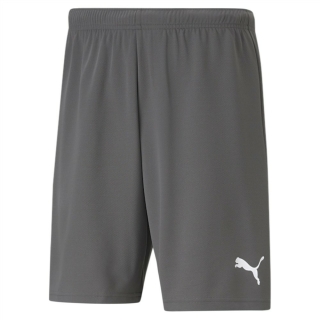 teamRISE Short Smoked Pearl-Puma White