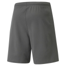 teamRISE Short Smoked Pearl-Puma White