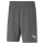 teamRISE Short Smoked Pearl-Puma White