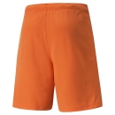 teamRISE Short GOLDEN POPPY-Puma Black