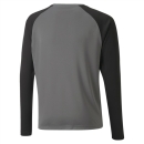 teamPACER GK LS Jersey Jr Smoked Pearl-Puma Black-Puma White