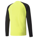 teamPACER GK LS Jersey Fluo Yellow-Puma Black-Puma White