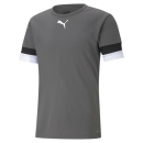 teamRISE Jersey Smoked Pearl-Puma Black-Puma White