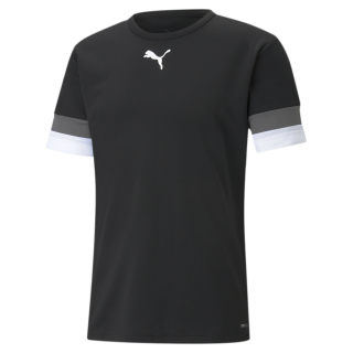 teamRISE Trikot Puma Black-SmokedPearl-White