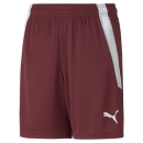 teamLIGA Short Junior Cordovan-Puma White