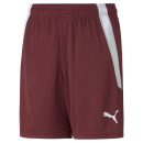 teamLIGA Shorts Jr Cordovan-Puma White