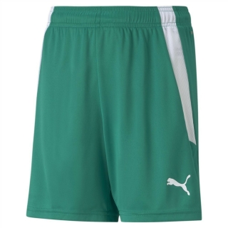 teamLIGA Shorts Jr Pepper Green-Puma White