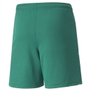 teamLIGA Short Junior Pepper Green-Puma White