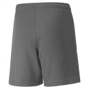 teamLIGA Short Junior Smoked Pearl-Puma White