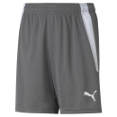 teamLIGA Shorts Jr Smoked Pearl-Puma White