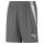 teamLIGA Shorts Jr Smoked Pearl-Puma White