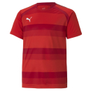 teamVISION Trikot Junior Puma Red-Chili Pepper-White