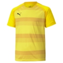teamVISION Jersey Jr Cyber Yellow-Spectra Yellow-Puma Black