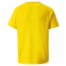 teamVISION Jersey Jr Cyber Yellow-Spectra Yellow-Puma Black