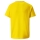 teamVISION Jersey Jr Cyber Yellow-Spectra Yellow-Puma Black