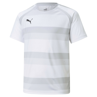 teamVISION Trikot Junior Puma White-GlacierGray-Black