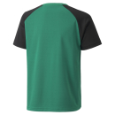 teamPACER Jersey Jr Pepper Green-Puma Black-Puma White