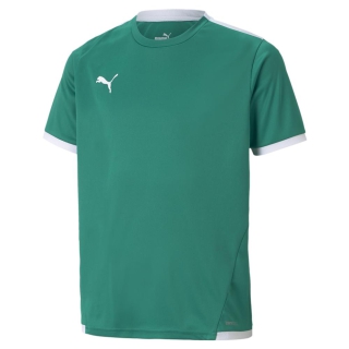 teamLIGA Trikot Junior Pepper Green-Puma White