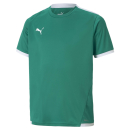 teamLIGA Jersey Jr Pepper Green-Puma White