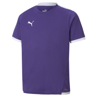 teamLIGA Jersey Jr Prism Violet-Puma White