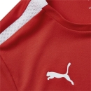 teamLIGA Jersey Jr Puma Red-Puma White