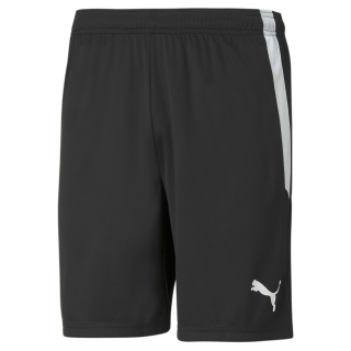 teamLIGA Shorts Puma Black-Puma White