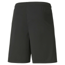 teamLIGA Shorts Puma Black-Puma White