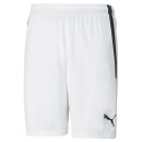 teamLIGA Shorts Puma White-Puma Black