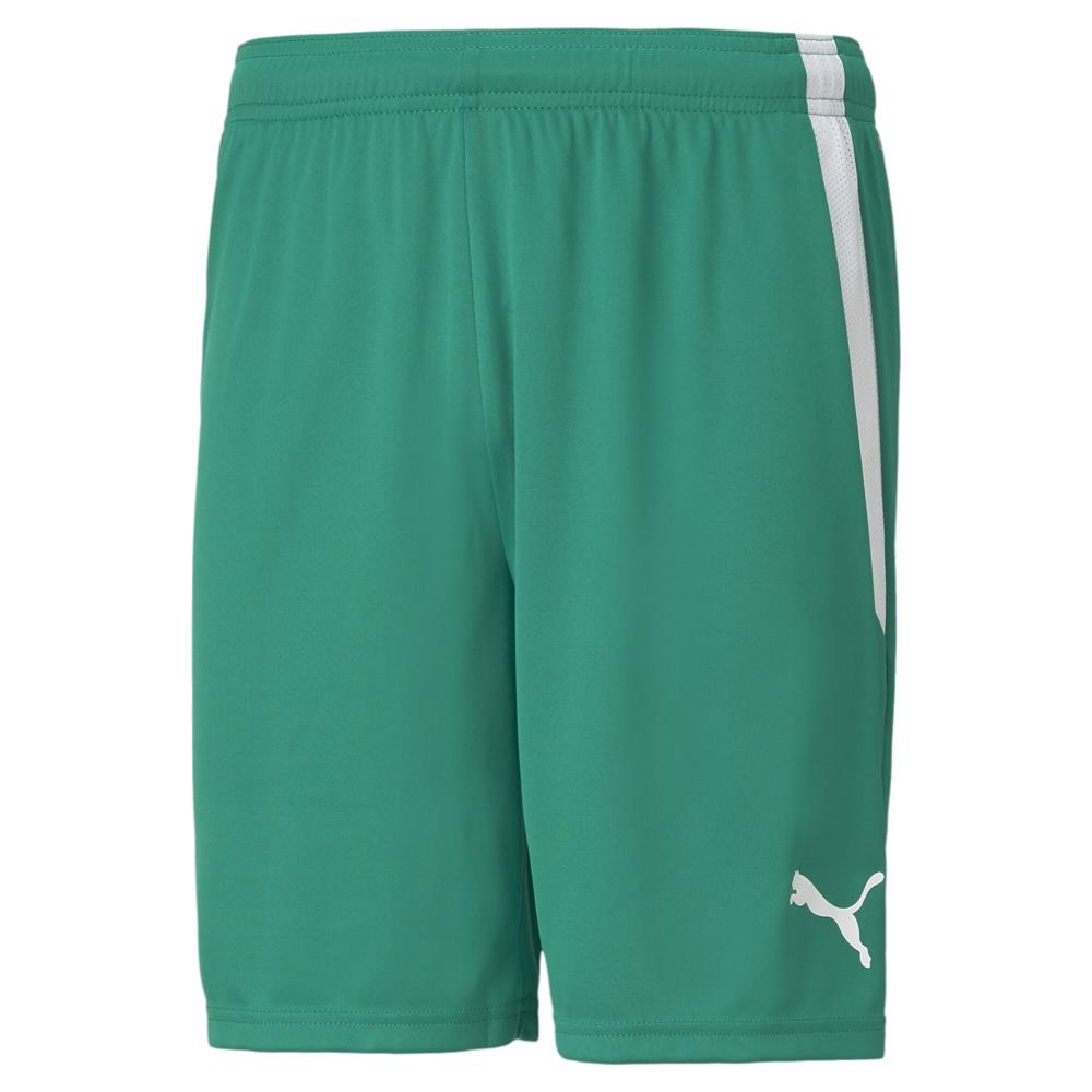 puma polyester shorts