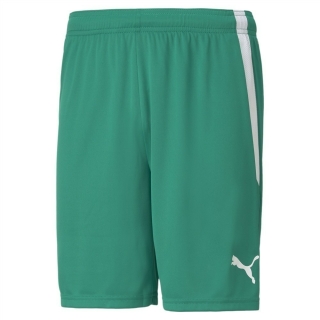 teamLIGA Shorts Pepper Green-Puma White