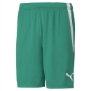 teamLIGA Short Pepper Green-Puma White