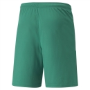 teamLIGA Short Pepper Green-Puma White