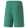 teamLIGA Short Pepper Green-Puma White