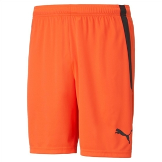 teamLIGA Shorts Nrgy Red-Puma Black