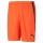 teamLIGA Shorts Nrgy Red-Puma Black