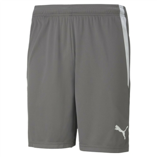 teamLIGA Shorts Smoked Pearl-Puma White